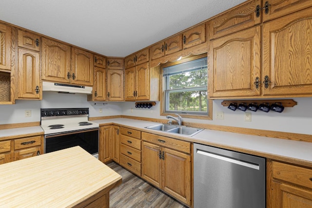 425 Franklin St, Morristown, MN 55052 - kitchen with stainless steel dishwasher, electric range, a sink, under cabinet range hood, and wood finished floors