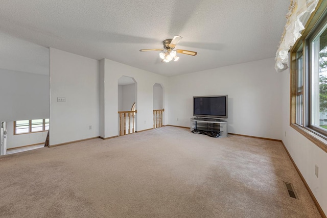 425 Franklin St, Morristown, MN 55052 - unfurnished living room featuring carpet floors, a ceiling fan, healthy amount of natural light, and a textured ceiling