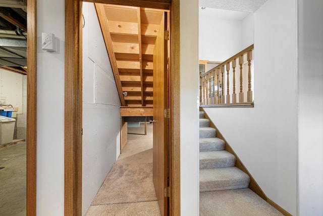 425 Franklin St, Morristown, MN 55052 - stairway with carpet floors