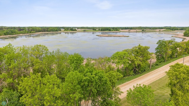 18117 Cherry Creek Ln, Erie Twp, MN 56501 - water view