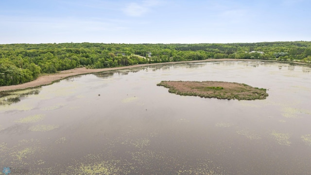 18117 Cherry Creek Ln, Erie Twp, MN 56501 - bird's eye view of a heavily wooded area and a nearby body of water