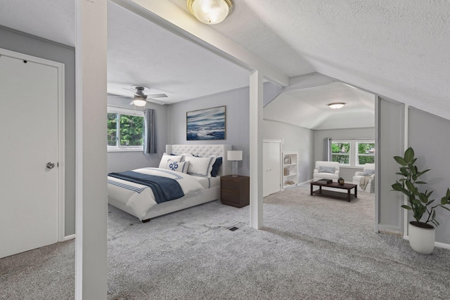 1148 Geranium Ave E, Saint Paul, MN 55106 - bedroom featuring multiple windows, carpet flooring, a textured ceiling, and lofted ceiling