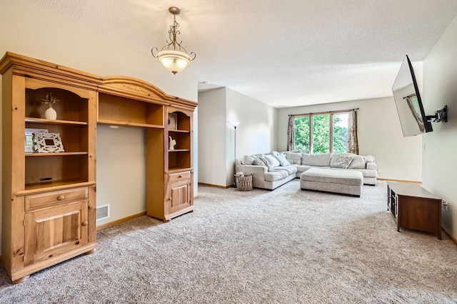 1110 Lia Ct, Northfield, MN 55057 - living room with a textured ceiling and carpet