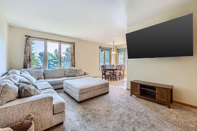 1110 Lia Ct, Northfield, MN 55057 - carpeted living room featuring baseboards and a textured ceiling