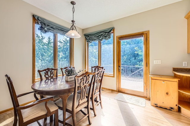 1110 Lia Ct, Northfield, MN 55057 - dining area featuring light wood-style floors and baseboards