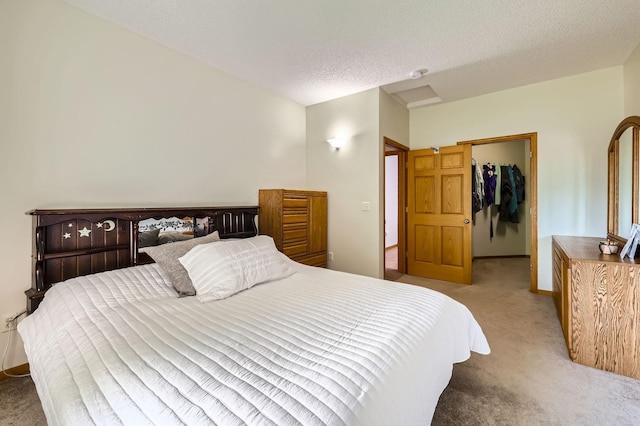 1110 Lia Ct, Northfield, MN 55057 - carpeted bedroom with a walk in closet and a textured ceiling