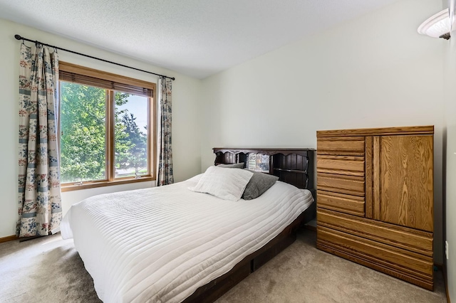 1110 Lia Ct, Northfield, MN 55057 - carpeted bedroom featuring multiple windows
