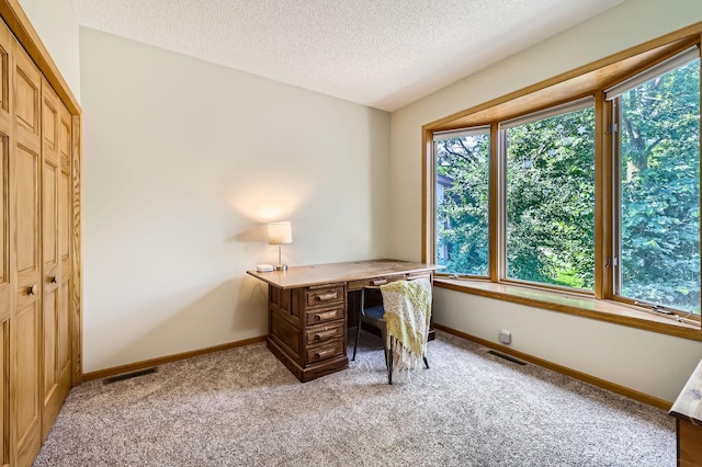 1110 Lia Ct, Northfield, MN 55057 - unfurnished office with plenty of natural light, a textured ceiling, and light colored carpet