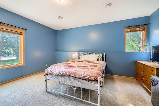 1110 Lia Ct, Northfield, MN 55057 - bedroom with multiple windows and carpet flooring