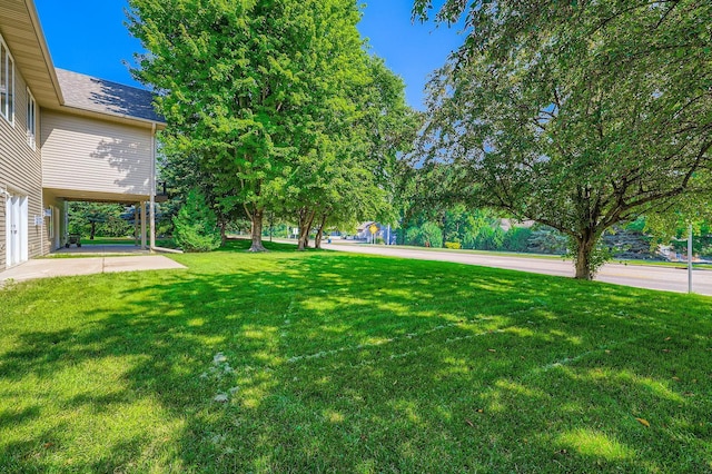 1110 Lia Ct, Northfield, MN 55057 - view of green lawn