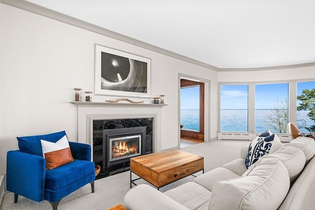 2900 London Rd, Duluth, MN 55804 - living room with a water view, ornamental molding, carpet, and a high end fireplace