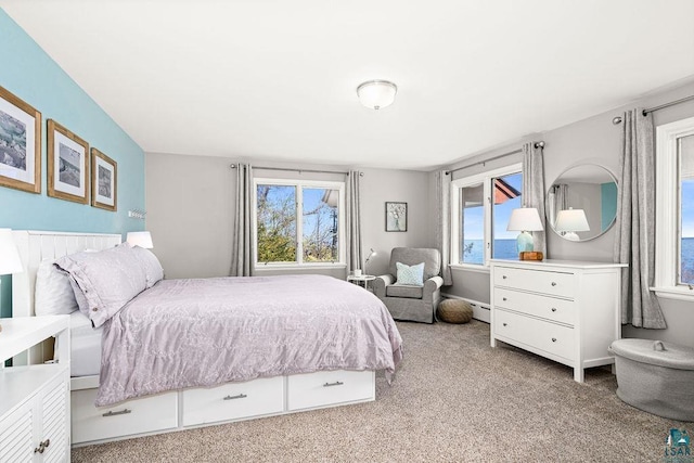 2900 London Rd, Duluth, MN 55804 - carpeted bedroom featuring multiple windows and a baseboard radiator