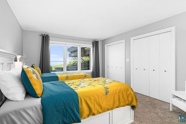2900 London Rd, Duluth, MN 55804 - bedroom with carpet and multiple closets