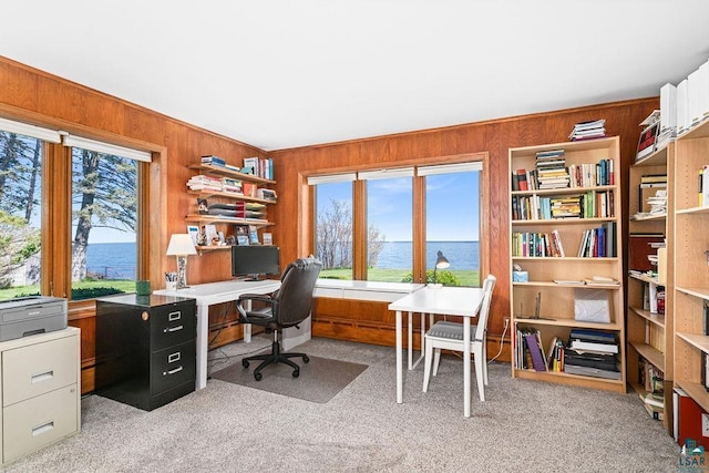2900 London Rd, Duluth, MN 55804 - carpeted office with healthy amount of natural light and wood walls