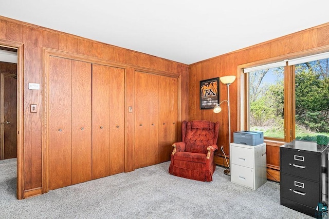 2900 London Rd, Duluth, MN 55804 - sitting room with carpet floors and wooden walls