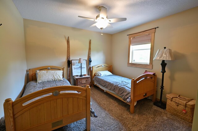 27482 Connors Lake Rd, Oakland, WI 54893 - photo 27