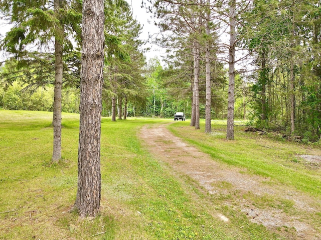 49091 County Road 134, Lake Jessie Twp, MN 56637 - view of street