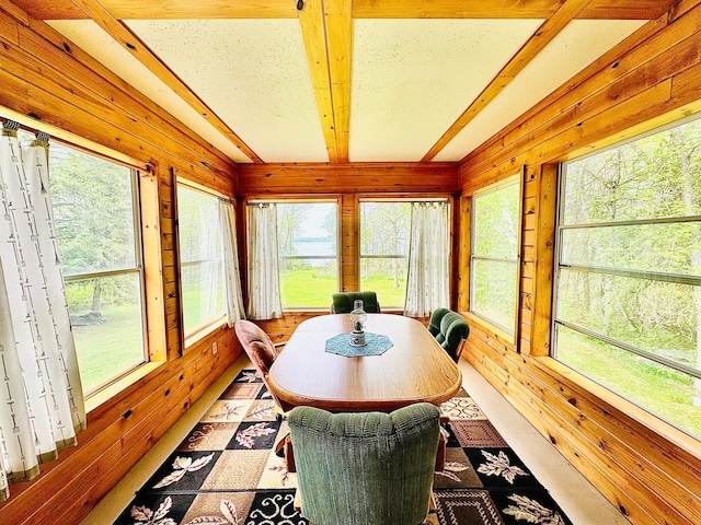 49091 County Road 134, Lake Jessie Twp, MN 56637 - sunroom with wood walls