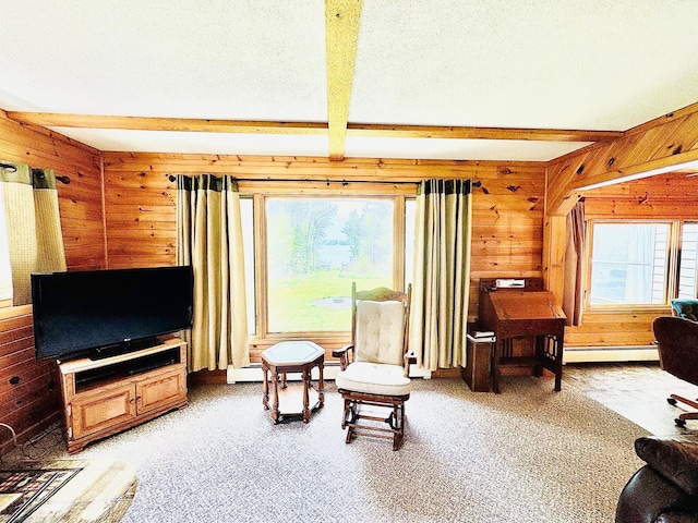 49091 County Road 134, Lake Jessie Twp, MN 56637 - photo 10