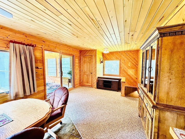 49091 County Road 134, Lake Jessie Twp, MN 56637 - photo 19