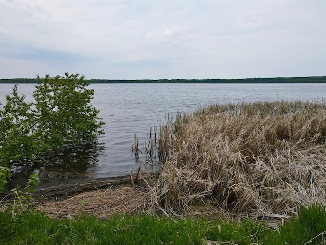 49091 County Road 134, Lake Jessie Twp, MN 56637 - photo 45