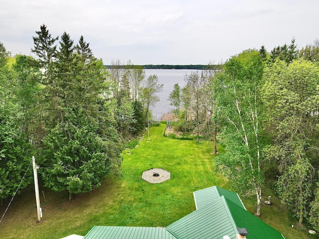 49091 County Road 134, Lake Jessie Twp, MN 56637 - photo 46