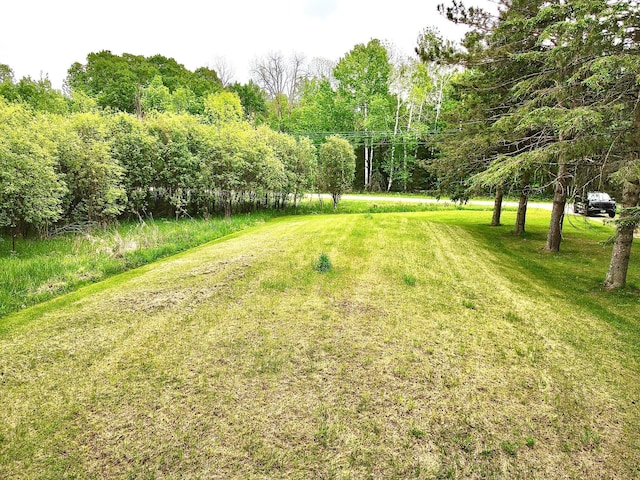 49091 County Road 134, Lake Jessie Twp, MN 56637 - photo 50