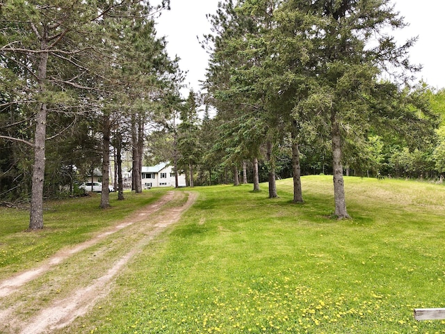 49091 County Road 134, Lake Jessie Twp, MN 56637 - photo 53