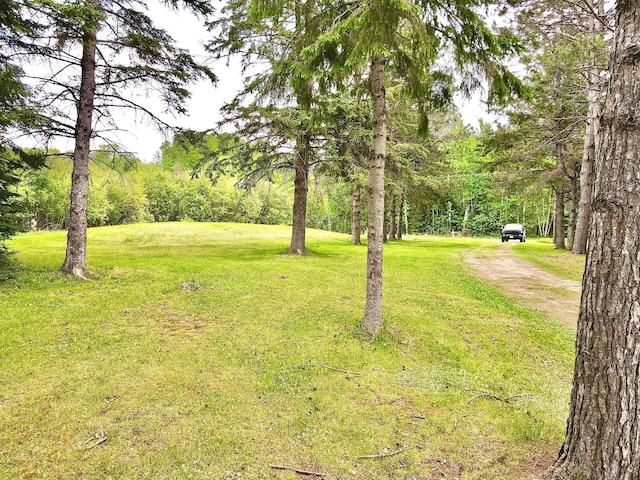 49091 County Road 134, Lake Jessie Twp, MN 56637 - photo 54