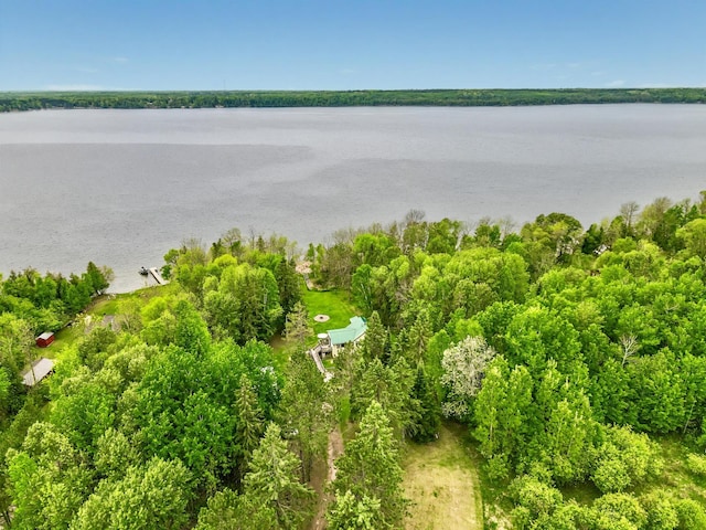 49091 County Road 134, Lake Jessie Twp, MN 56637 - photo 2