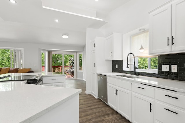 2035 123rd Ave NW, Coon Rapids, MN 55448 - kitchen featuring dishwasher, a sink, decorative backsplash, plenty of natural light, and recessed lighting