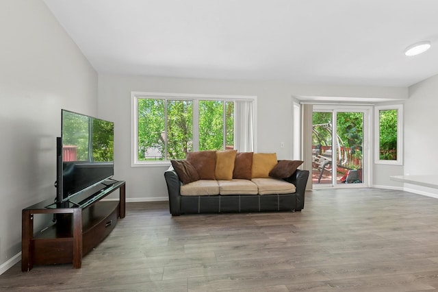 2035 123rd Ave NW, Coon Rapids, MN 55448 - living area with baseboards and wood finished floors
