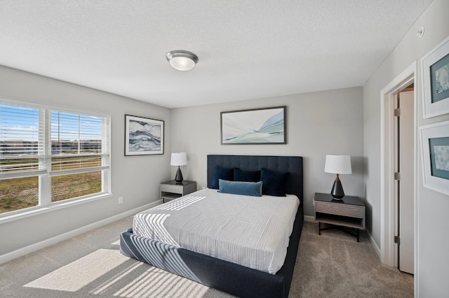 21749 Lilac Dr, Farmington, MN 55024 - bedroom featuring carpet floors, baseboards, and a textured ceiling