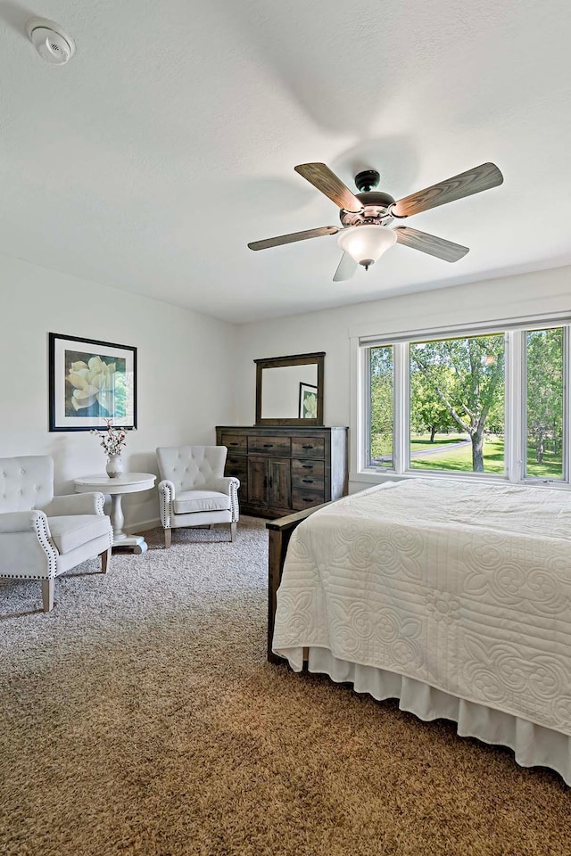 21570 France Blvd, Credit River Twp, MN 55044 - carpeted bedroom featuring a ceiling fan