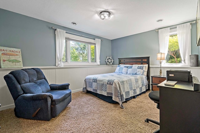 21570 France Blvd, Credit River Twp, MN 55044 - carpeted bedroom featuring wainscoting