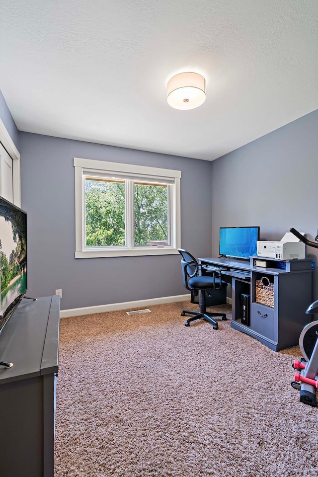21570 France Blvd, Credit River Twp, MN 55044 - carpeted home office featuring baseboards and a textured ceiling