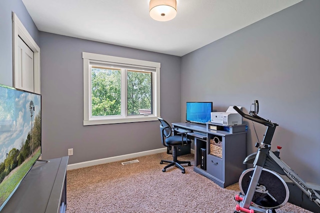 21570 France Blvd, Credit River Twp, MN 55044 - office featuring carpet and baseboards