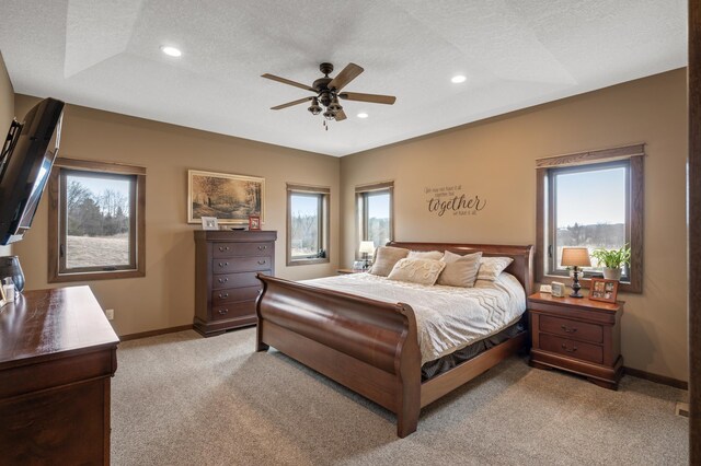 8530 Fir St, Greenfield, MN 55373 - bedroom featuring light colored carpet, multiple windows, a textured ceiling, baseboards, and recessed lighting
