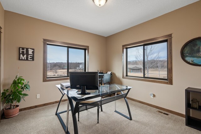 8530 Fir St, Greenfield, MN 55373 - home office featuring carpet and baseboards