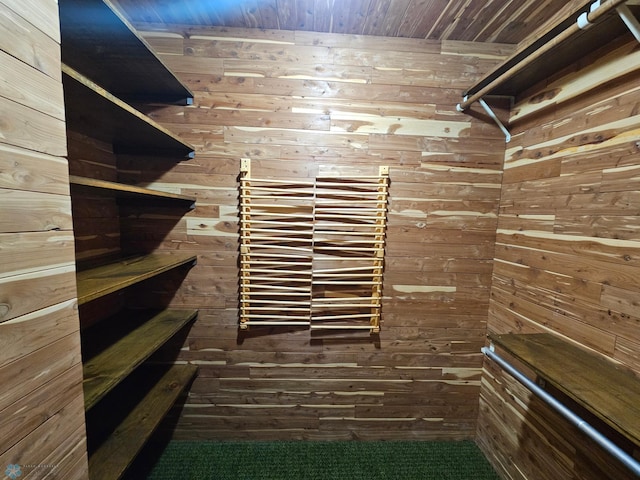 103 4th St S, Fairmount, ND 58030 - view of walk in closet