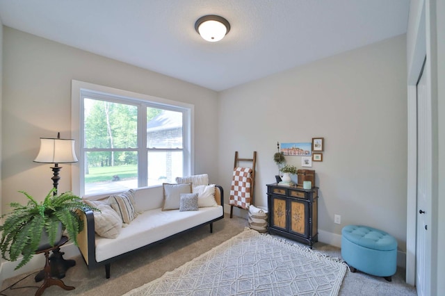 23904 Summer Haven Ln, Nisswa, MN 56468 - view of carpeted living room
