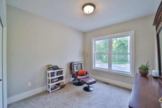 23904 Summer Haven Ln, Nisswa, MN 56468 - living area featuring carpet and baseboards
