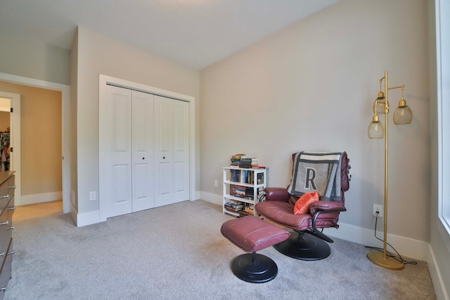 23904 Summer Haven Ln, Nisswa, MN 56468 - sitting room with carpet flooring and baseboards