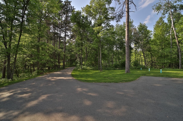 23904 Summer Haven Ln, Nisswa, MN 56468 - view of road with a view of trees