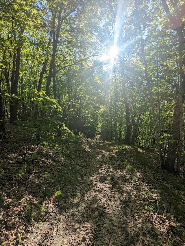 17145 Highland Dr, Detroit Twp, MN 56501 - view of woods