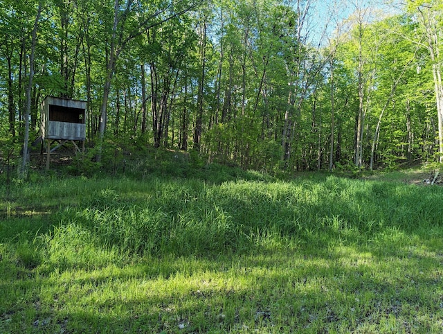 17145 Highland Dr, Detroit Twp, MN 56501 - view of yard