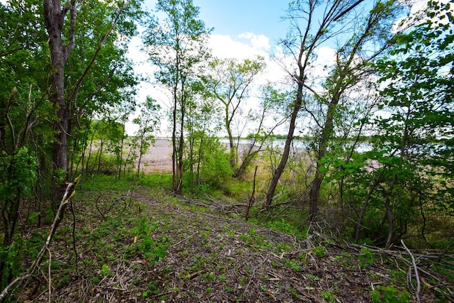 12910 215th St, Brooten, MN 56316 - photo 8