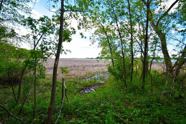12910 215th St, Brooten, MN 56316 - photo 10