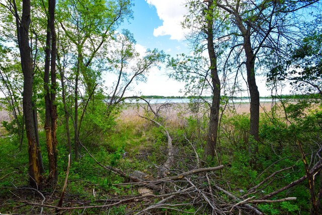 12910 215th St, Brooten, MN 56316 - photo 11