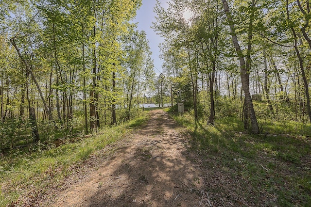 1293 Shadywood Shores Dr NW, Pine River, MN 56474